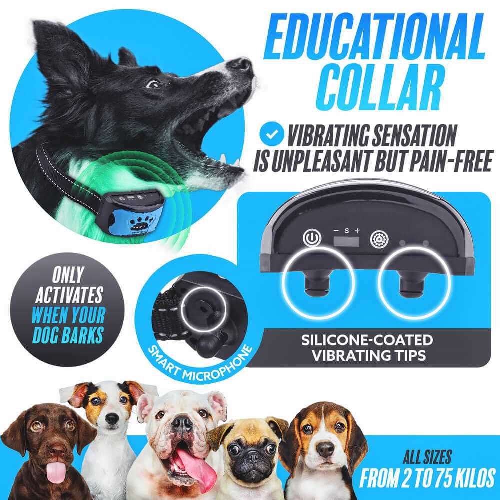 Anti Bark Collar Dog Bark Collar