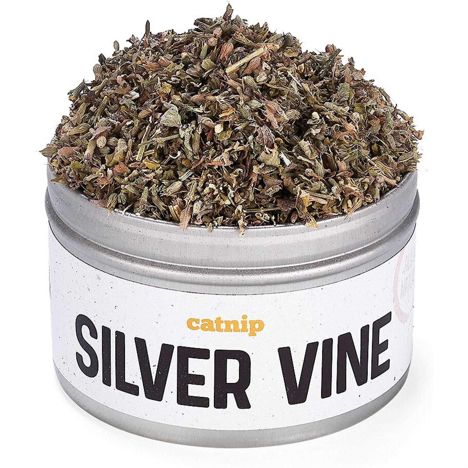 Litterbox.com™ Silver Vine Catnip in Bisque
