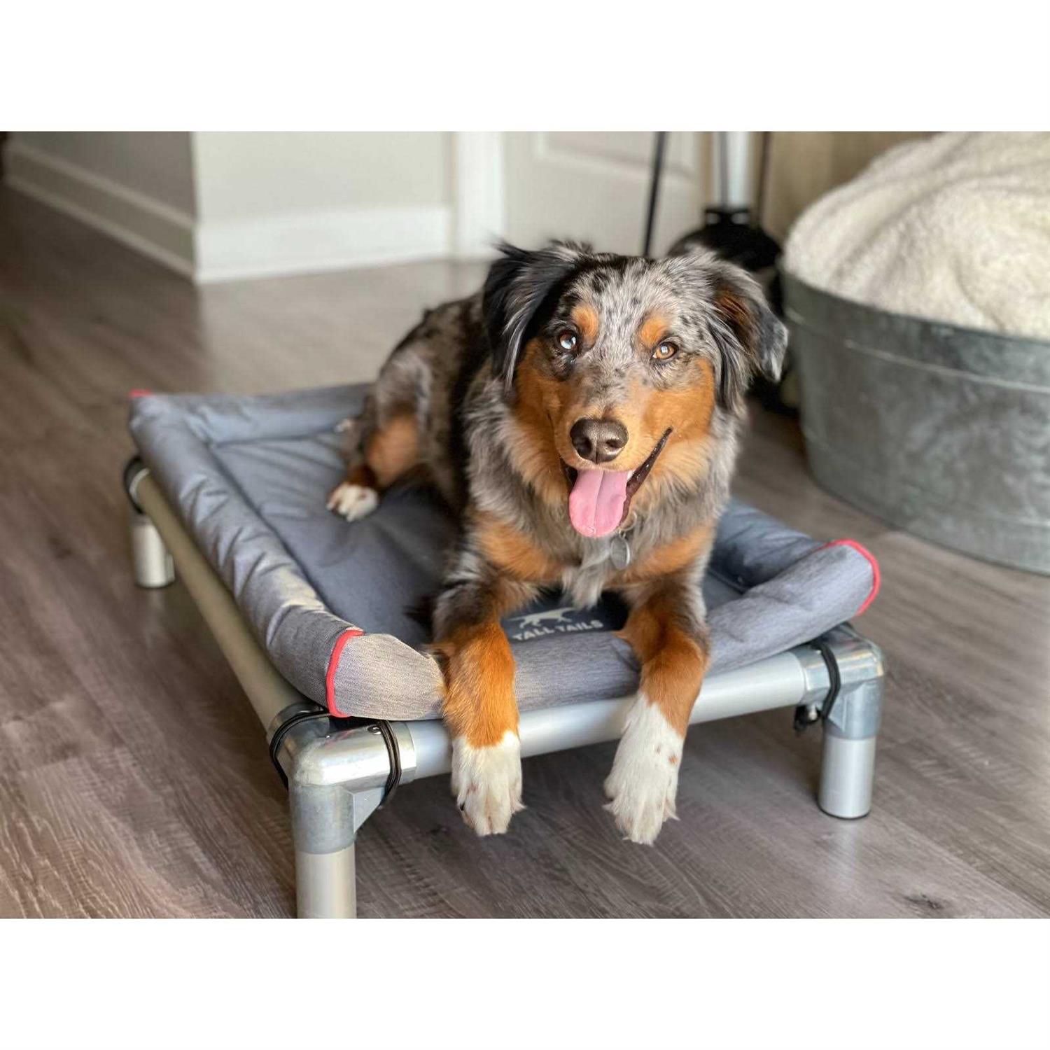 Tall Tails Dream Chaser Crate Dog Bed