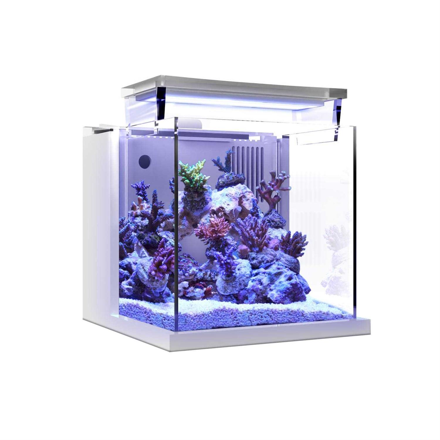 MagTool Premium All-in-One Desktop Mini Acrylic 0.95gal Reef Aquarium with Back Filter System and LED Light