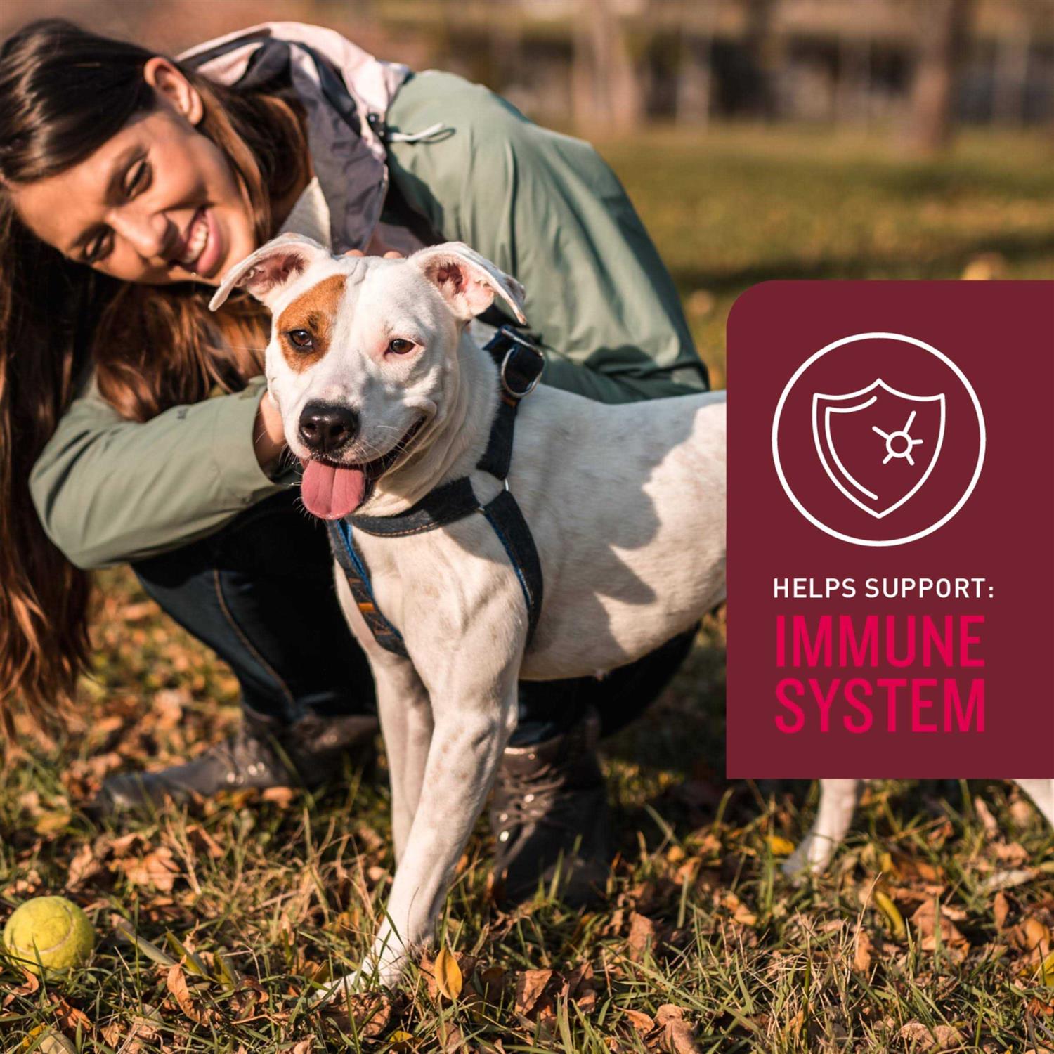 Sergeants VetIQ 5-in-One Multi-Benefit Soft Chews for Dogs