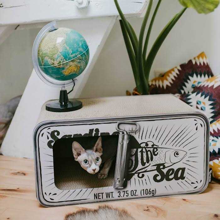 District 70 Sardine Cardboard Cat Scratcher