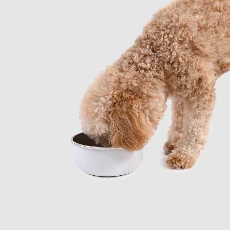 Diggs Bowl Ash Diggs Crate Clip