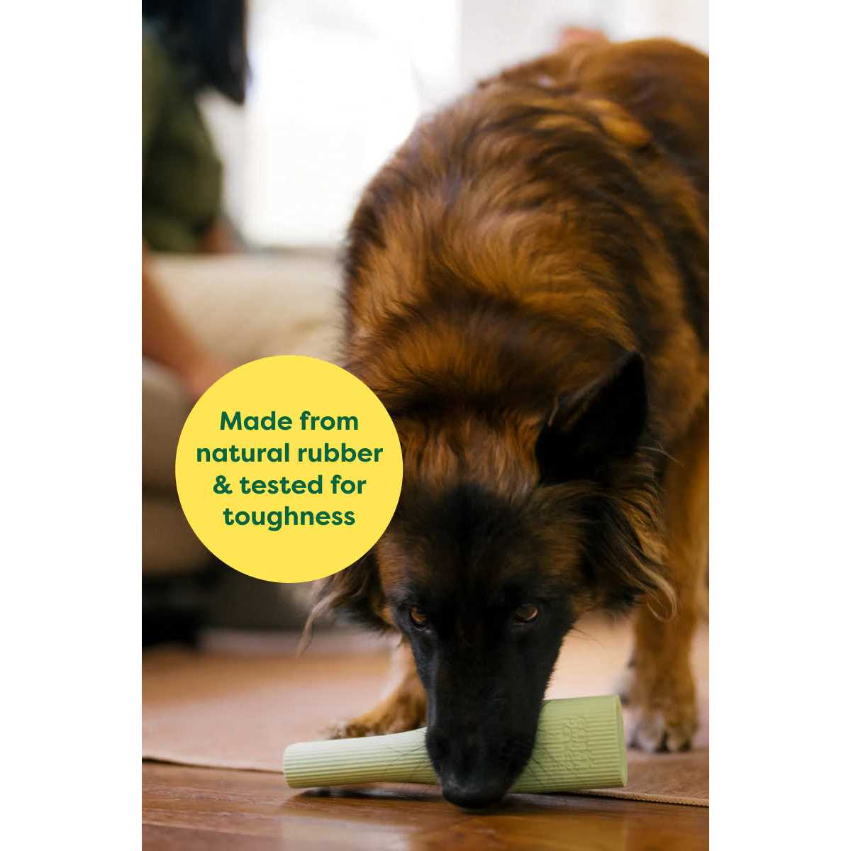 Earth Rated Rubber Chew Dog Toy