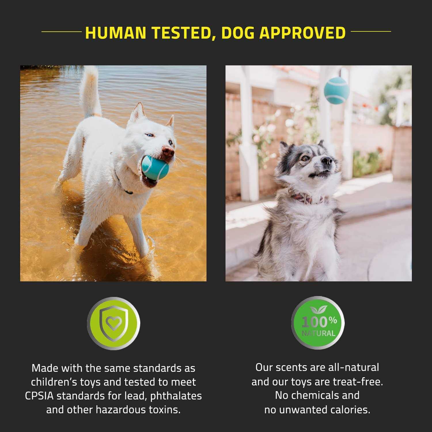 Playology Squeaky Chew Ball Dog Toy