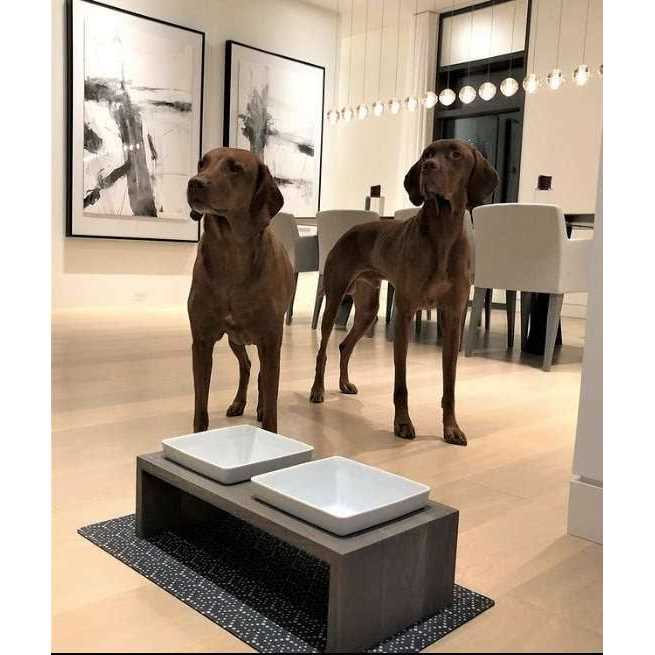 Bowsers Artisan Double Dog Feeder