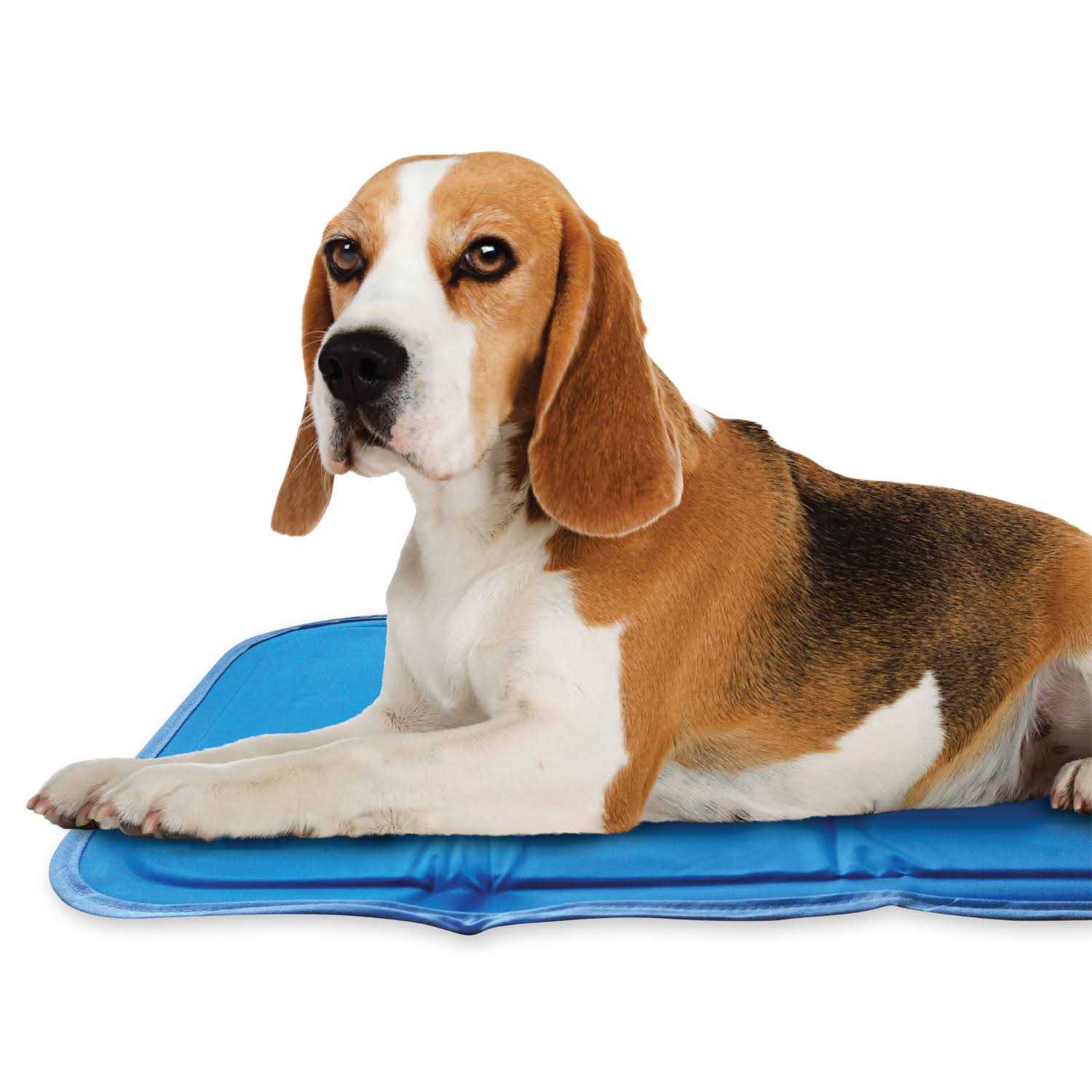 Cool Pet Pad The Green Pet Shop Sage Gray Self Cooling Pet Pad