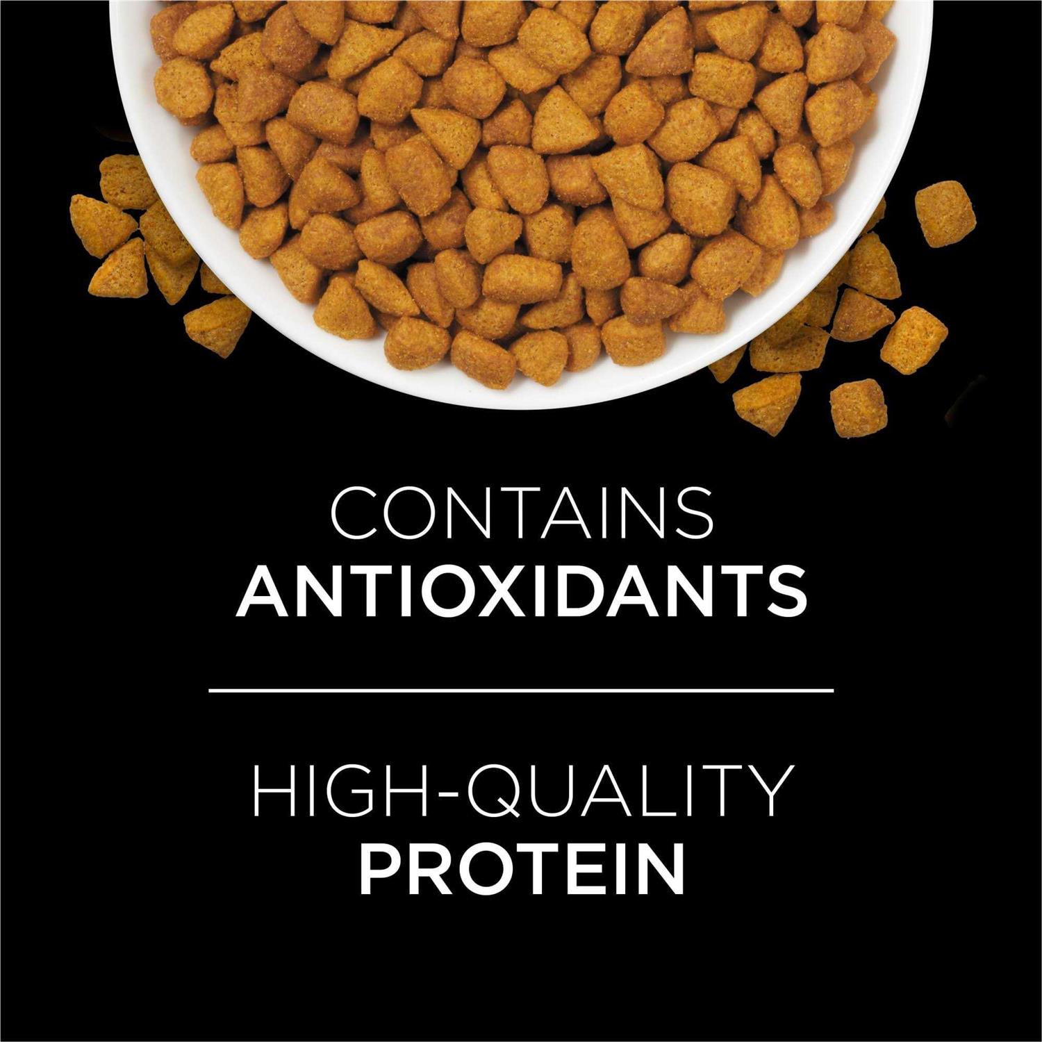 Purina Veterinary Diets UR Urinary St/Ox Feline Dry Food
