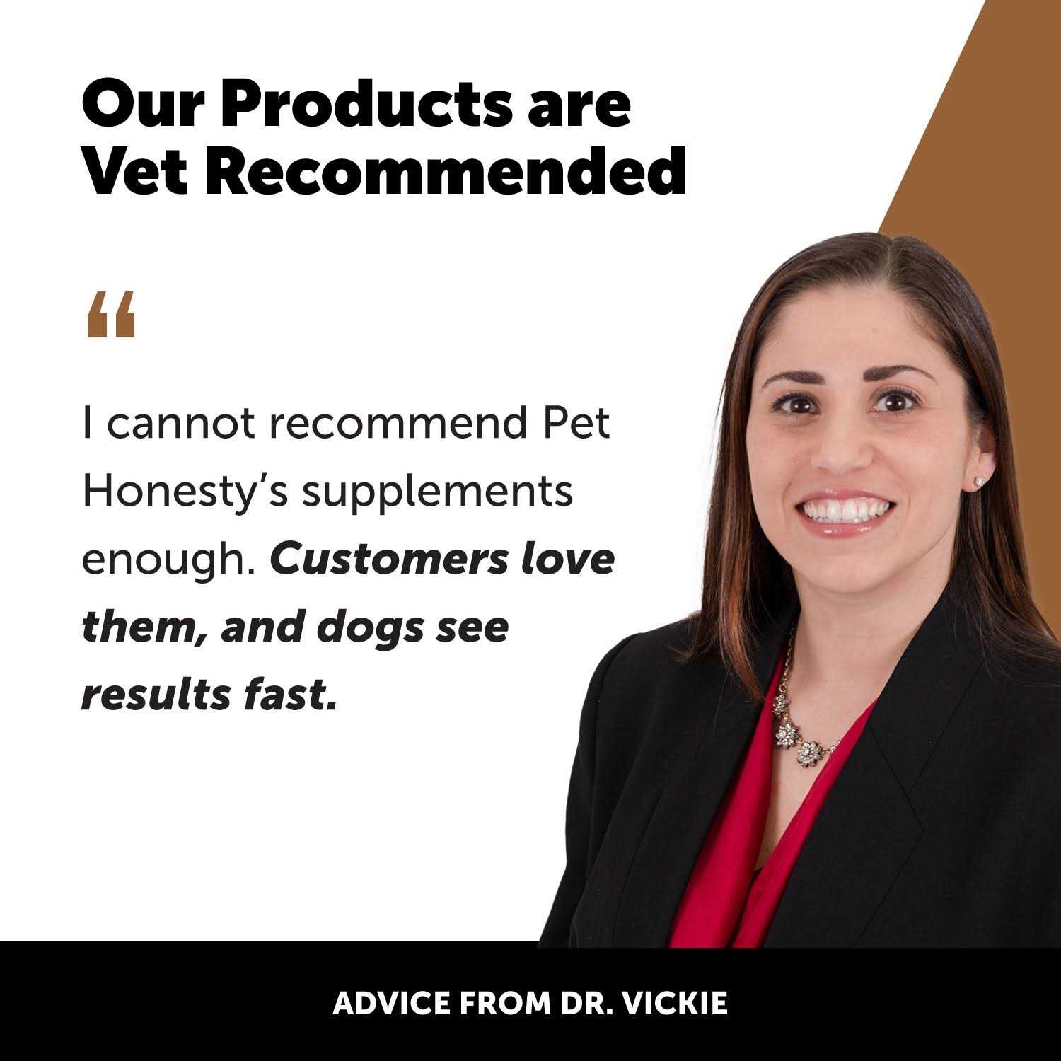 Pet Honesty Flea & Tick Support Supplement Soft Chews for Dogs