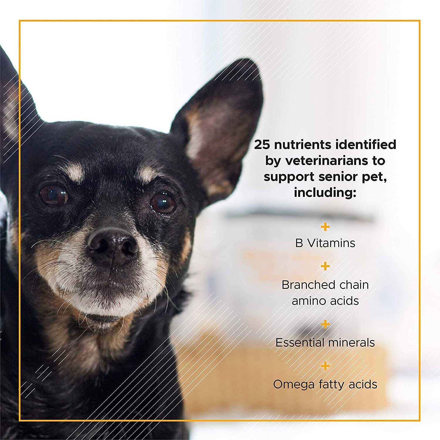 VetriScience Golden Years Energize and Thrive Multivitamin for Senior Dogs