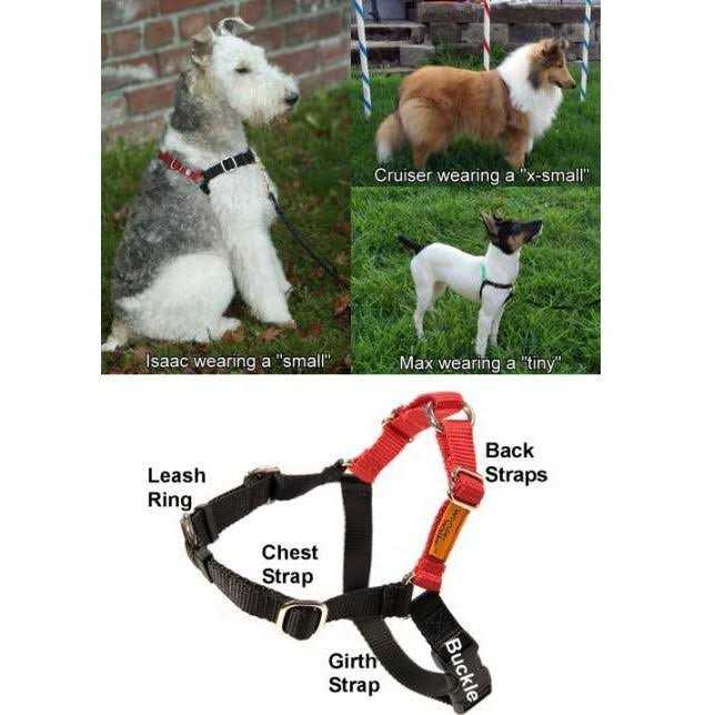 Wonder Walker Body Halter Dog Harness