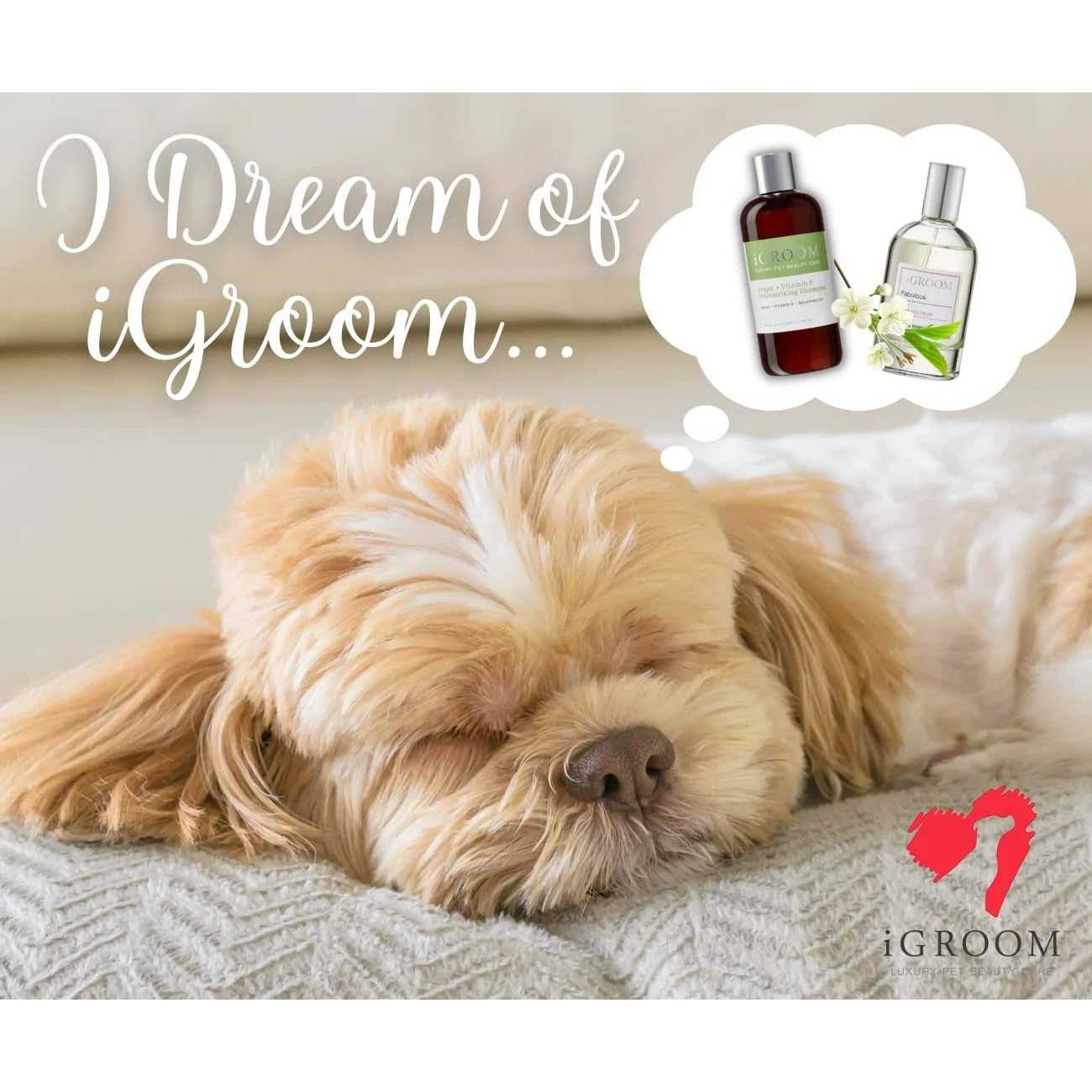 iGroom Argan + Vitamin E Moisturizing Shampoo