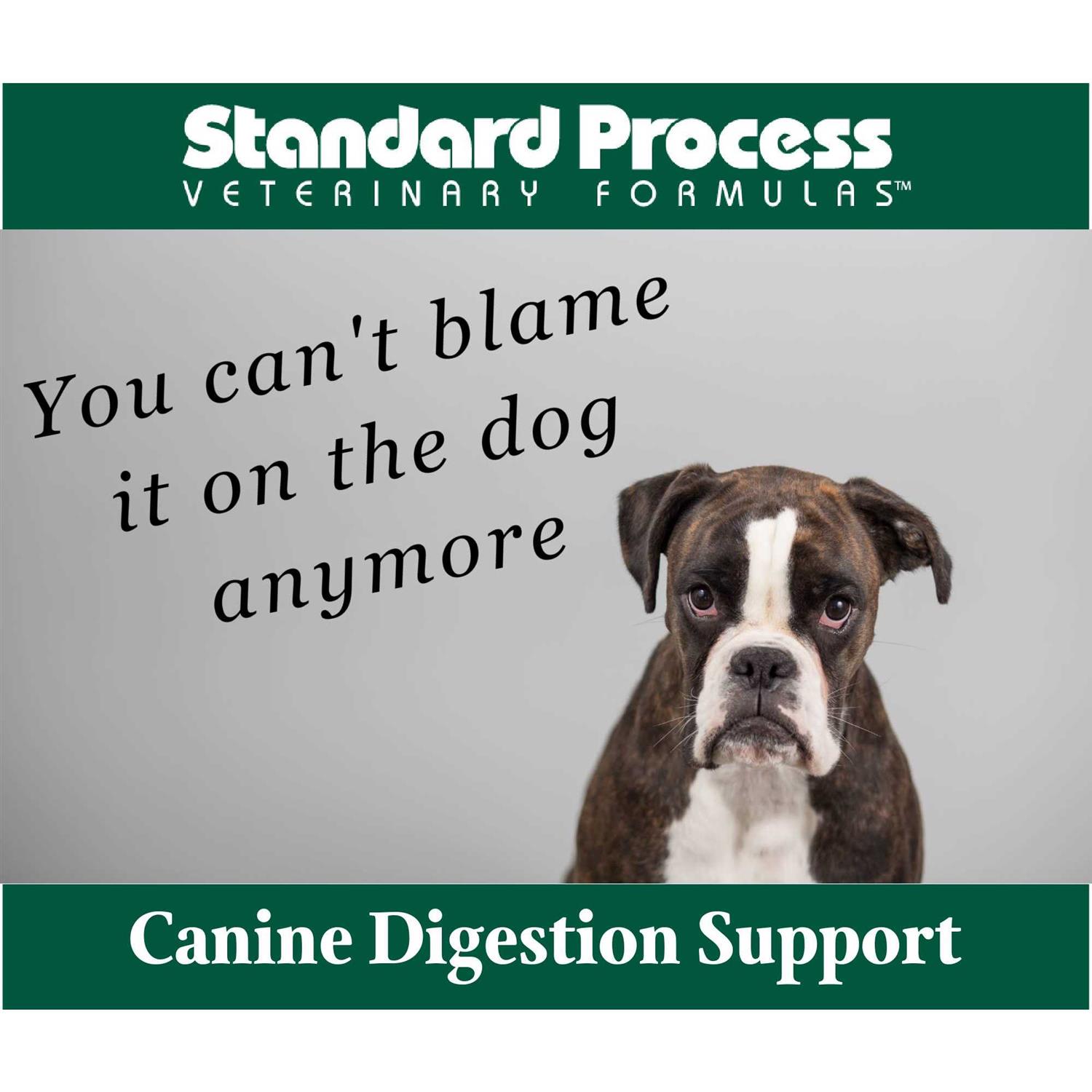 Canine Enteric Support