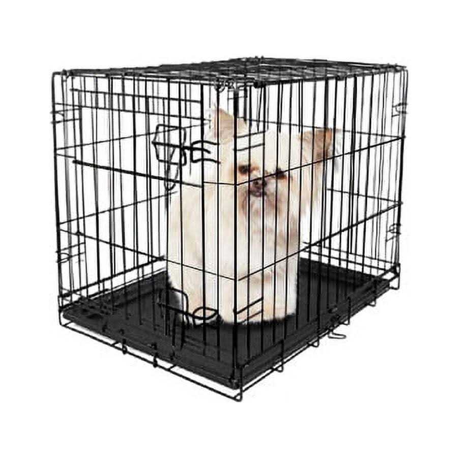 Vibrant Life Single-Door Folding Dog Crate with Divider