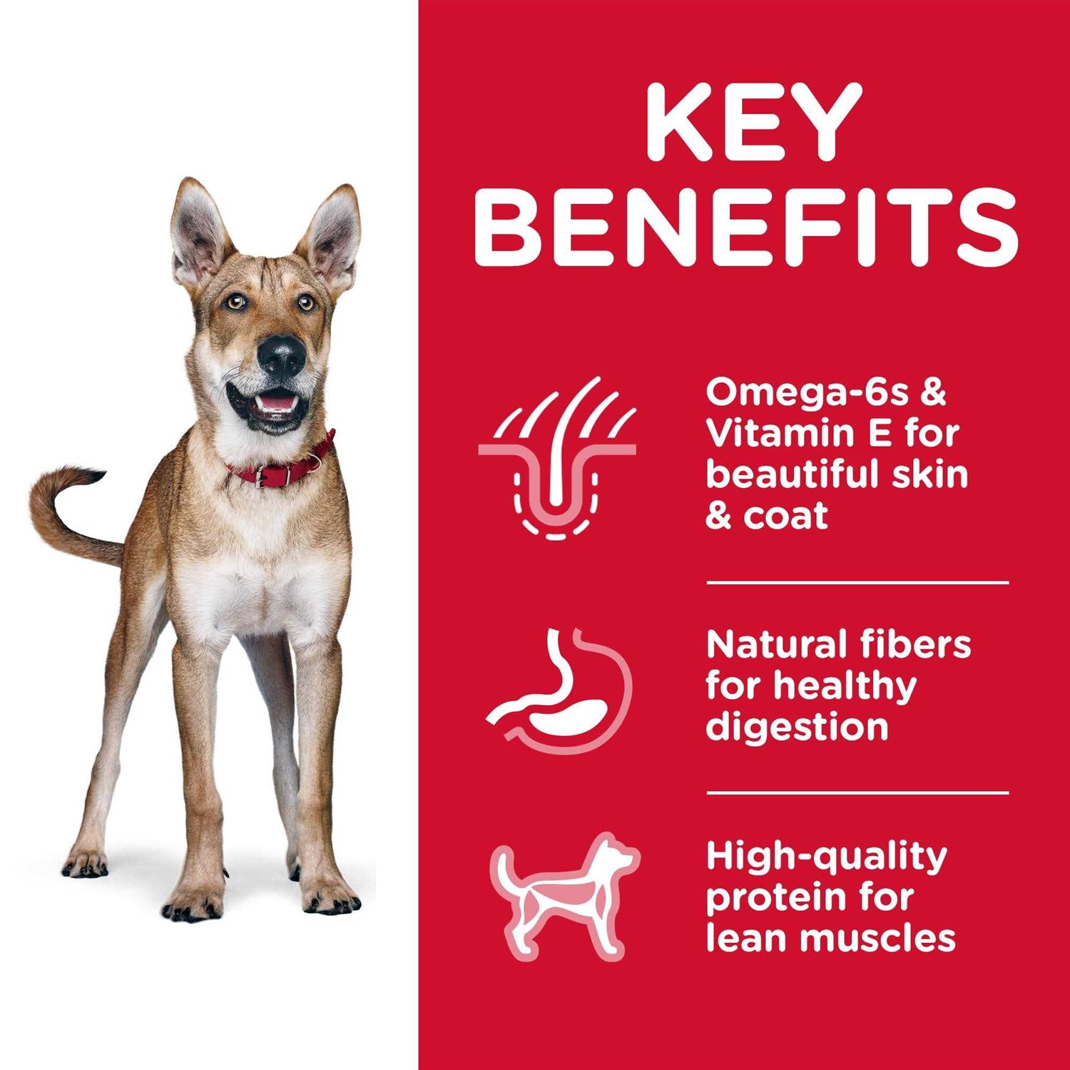 Hill’s Science Diet Adult Chicken & Barley Dry Dog Food