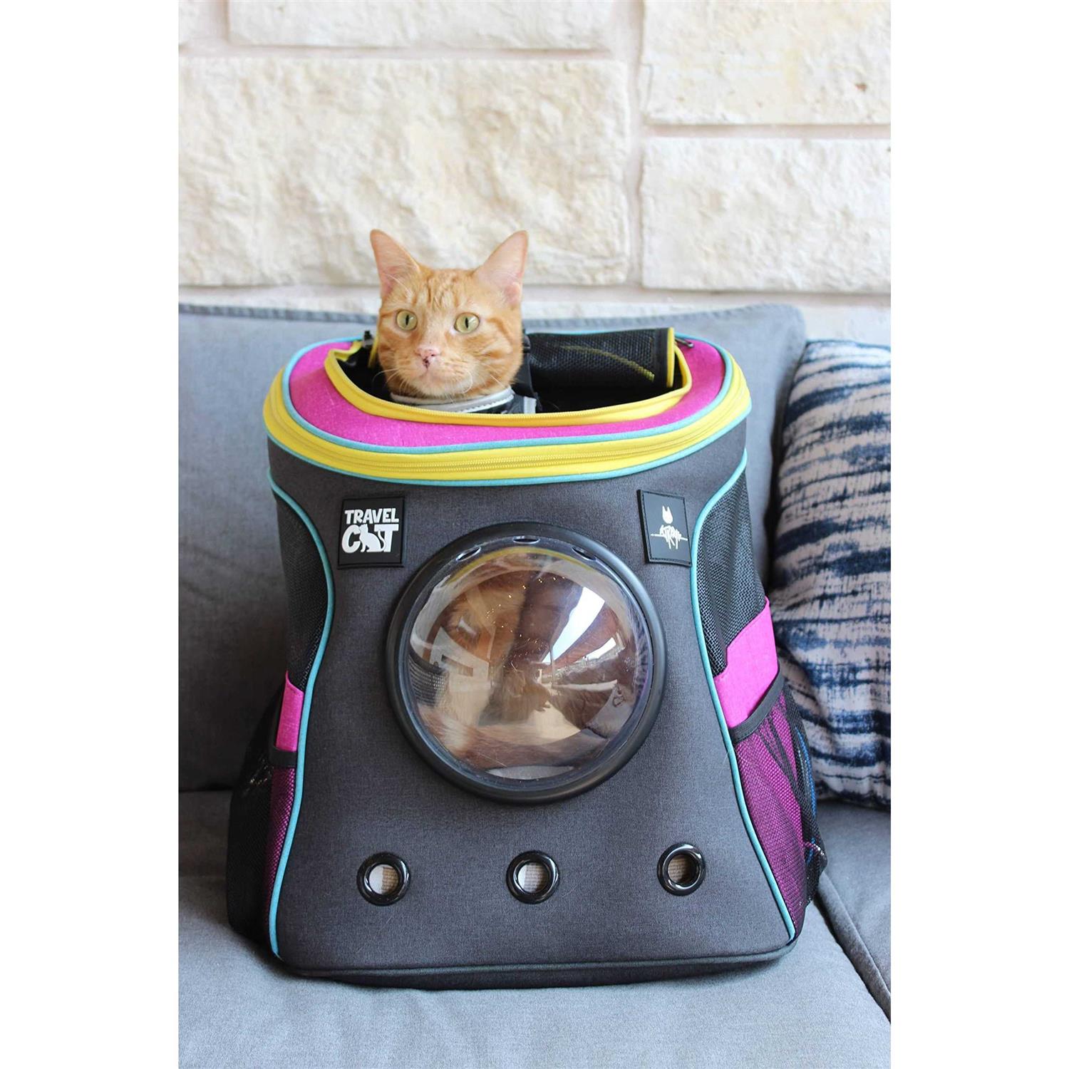 Cat Backpack Stray x Travel