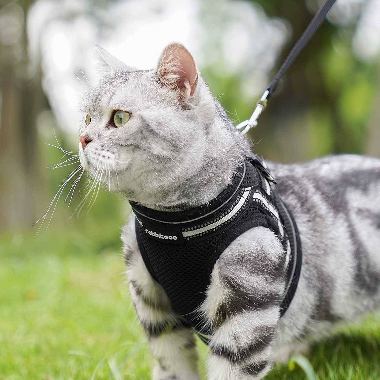 Rabbitgoo Cat Harness and Leash for Walking Escape Proof Soft Adjustable Vest Harnesses for Cats