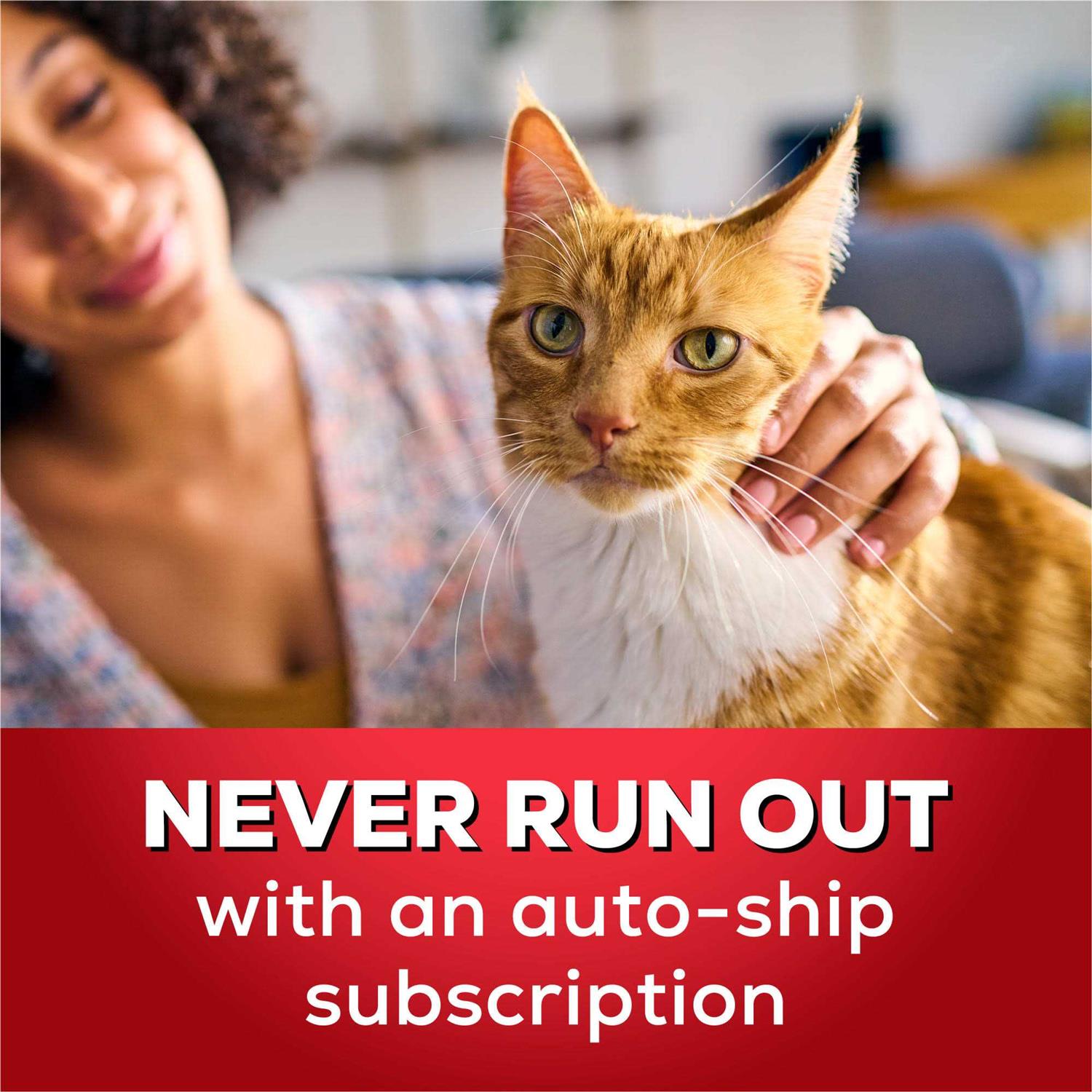 Tidy Cats Instant Action Cat Litter