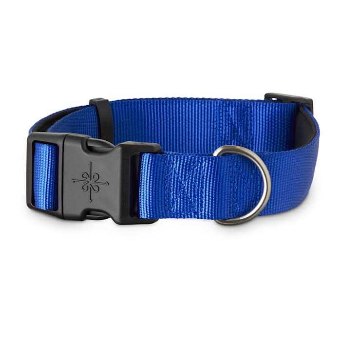 YOULY Neoprene Padded Dog Collar