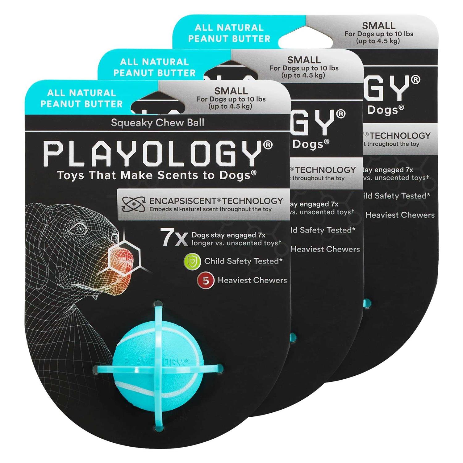 Playology Squeaky Chew Ball Dog Toy