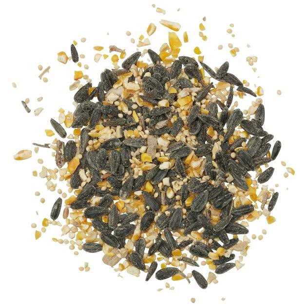 Kaytee Songbird Wild Bird Food