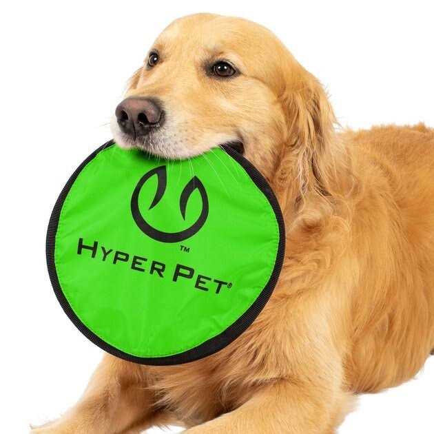 Hyper Pet Flippy Flopper