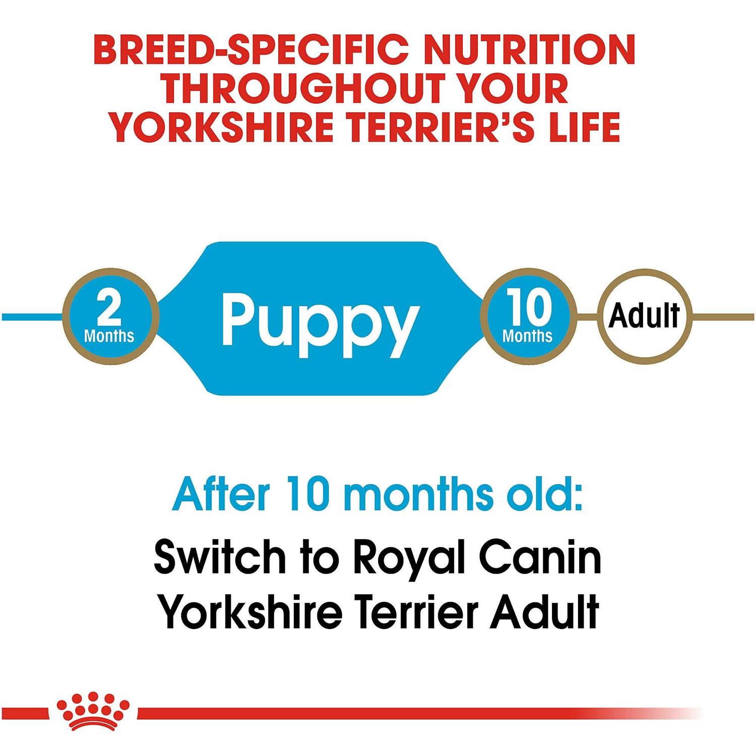 Royal Canin Breed Health Nutrition Yorkshire Terrier Puppy Dry Dog Food