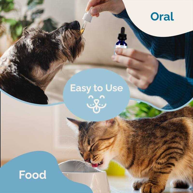 Prana-Pets.com Cold Symptom Support for Cats