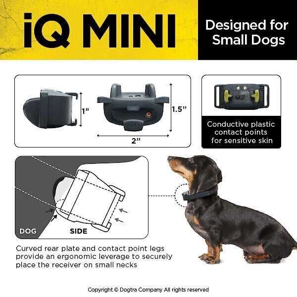 Dogtra IQ-MINI Dog Training Collar