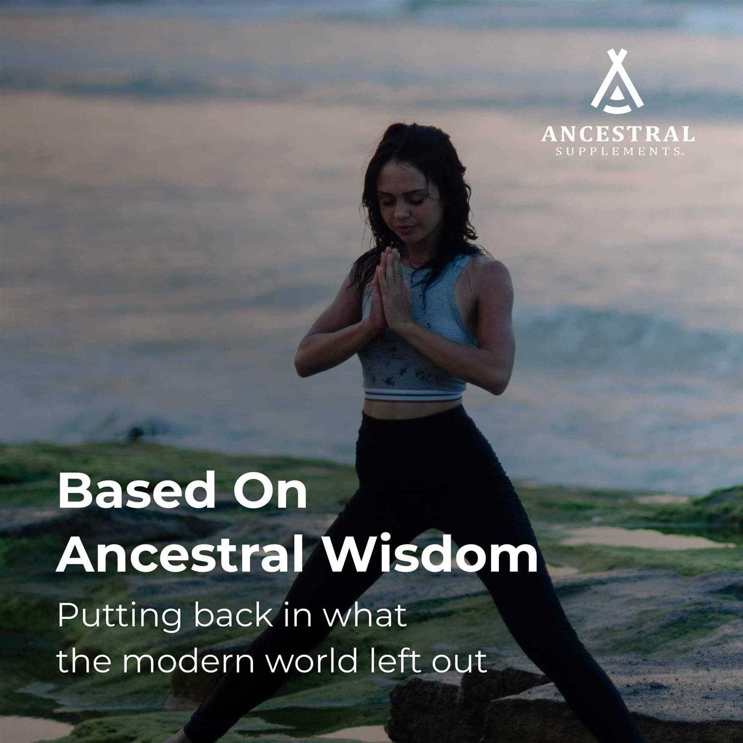 Ancestral Supplements Grass Fed Beef Bone and Marrow Supplement