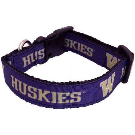 NCAA Dog Collar