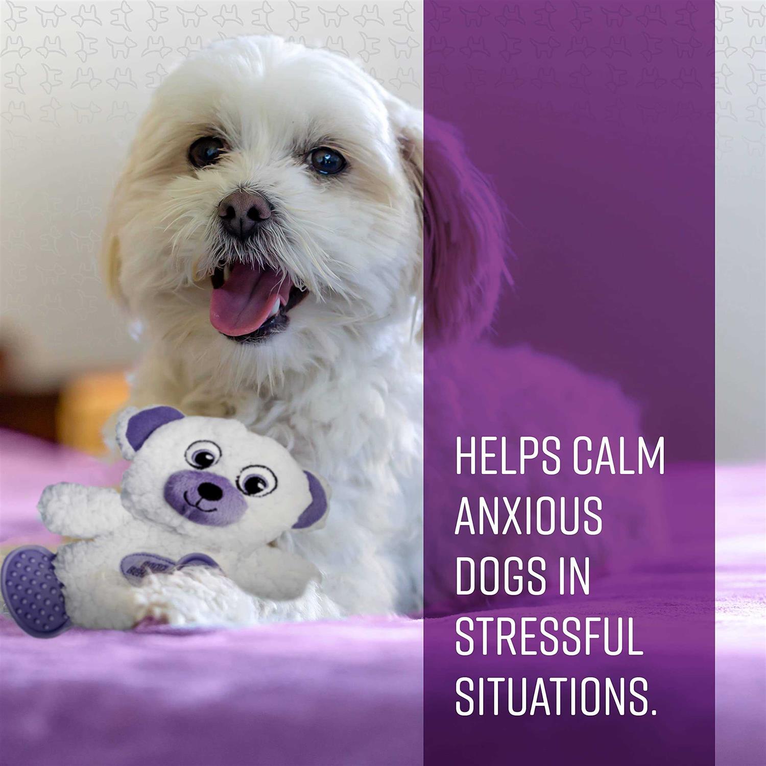 Sentry Calming Toy for Dogs