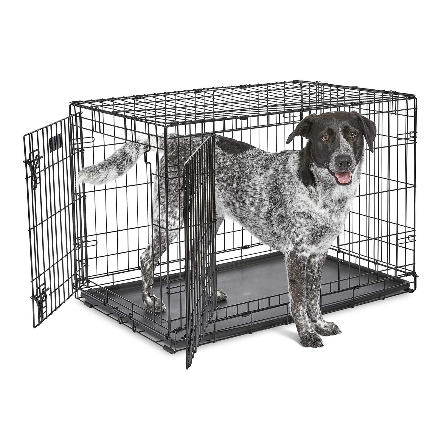 MidWest iCrate Double Door Fold Carry Dog Crate
