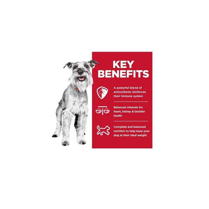 Hill’s Science Diet Adult 7+ Small Paws Chicken & Barley Entree Dog Food