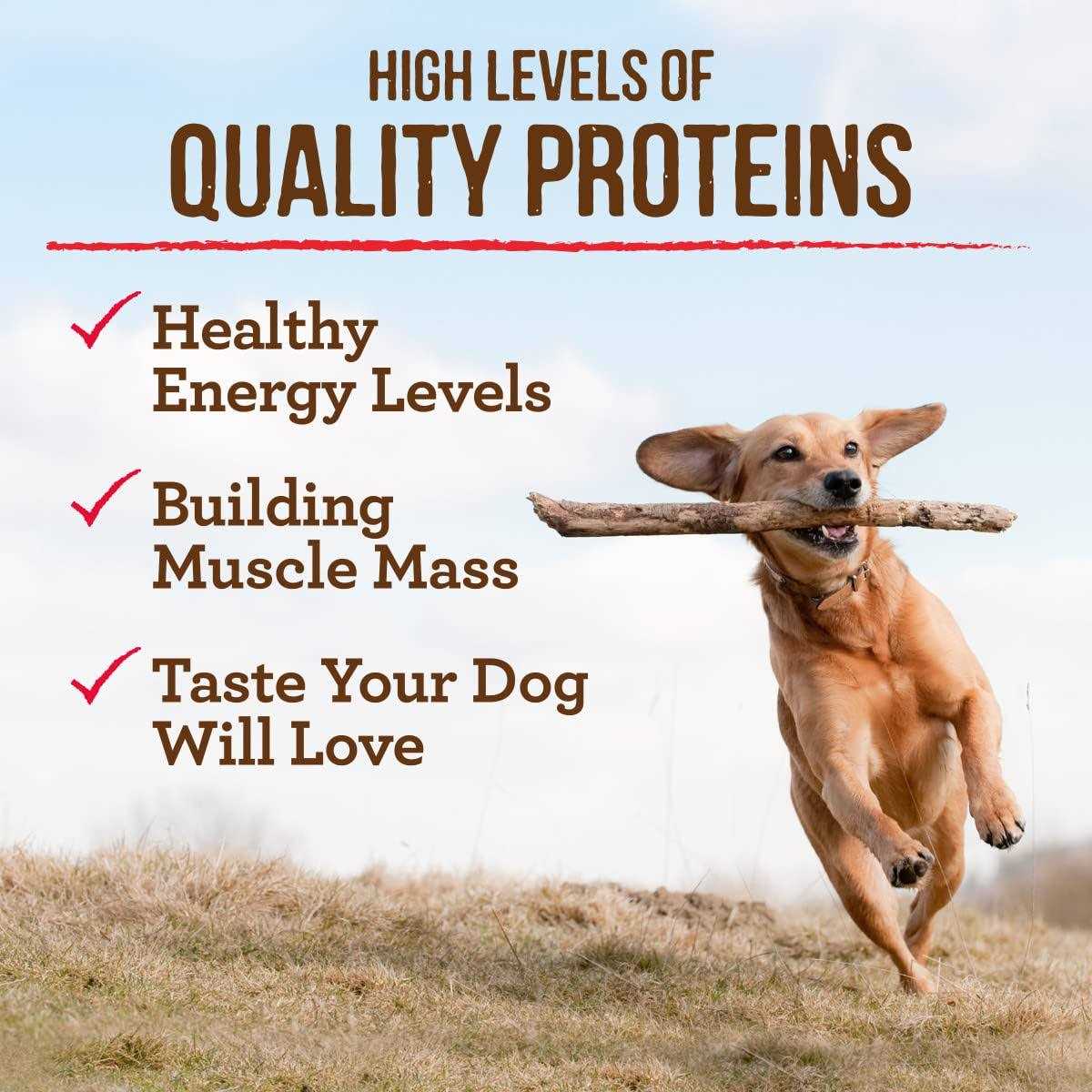 Merrick Grain-Free Real Beef Sweet Potato Dry Dog Food