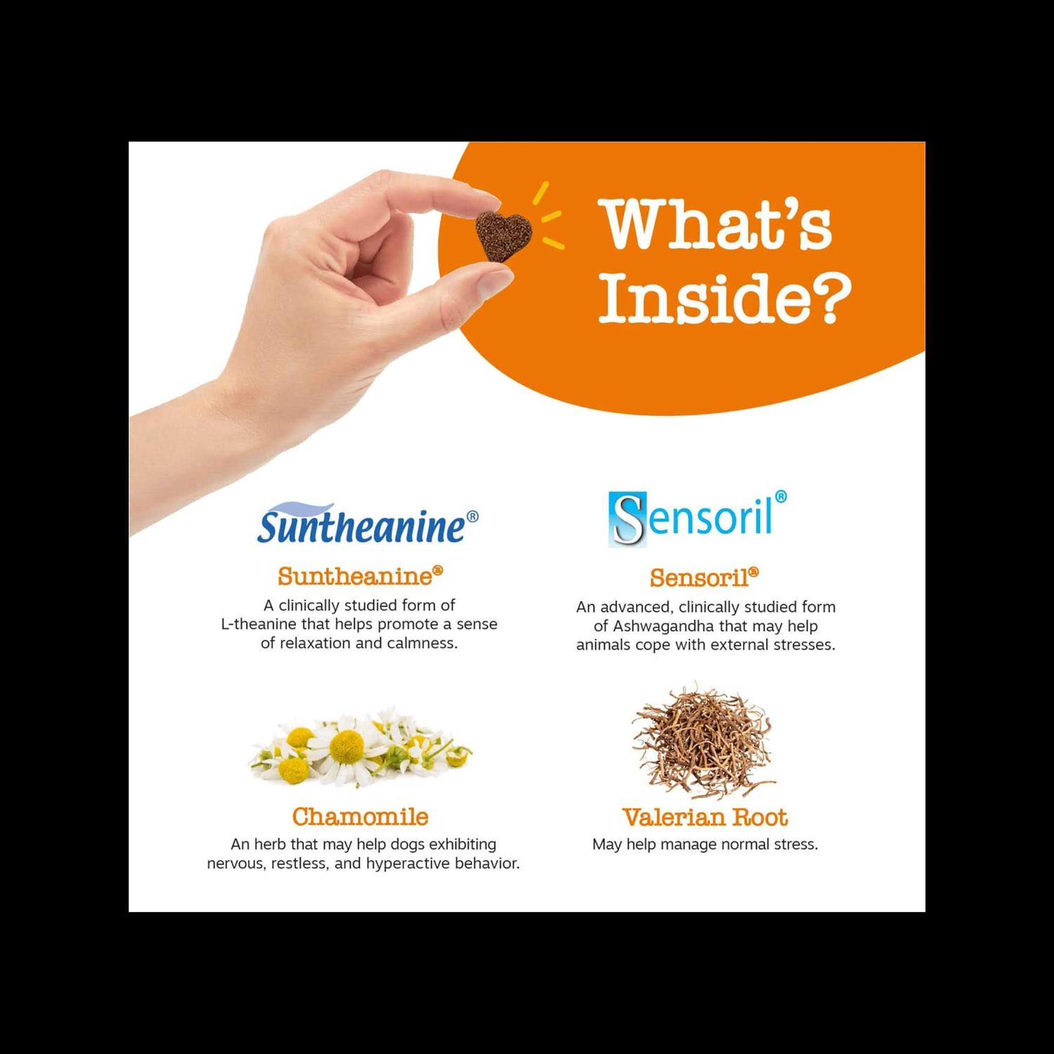 Zesty Paws Calming Bites Soft Chews for Dogs