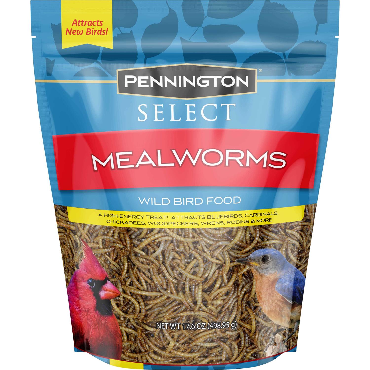 Pennington Mealworms Wild Bird Food
