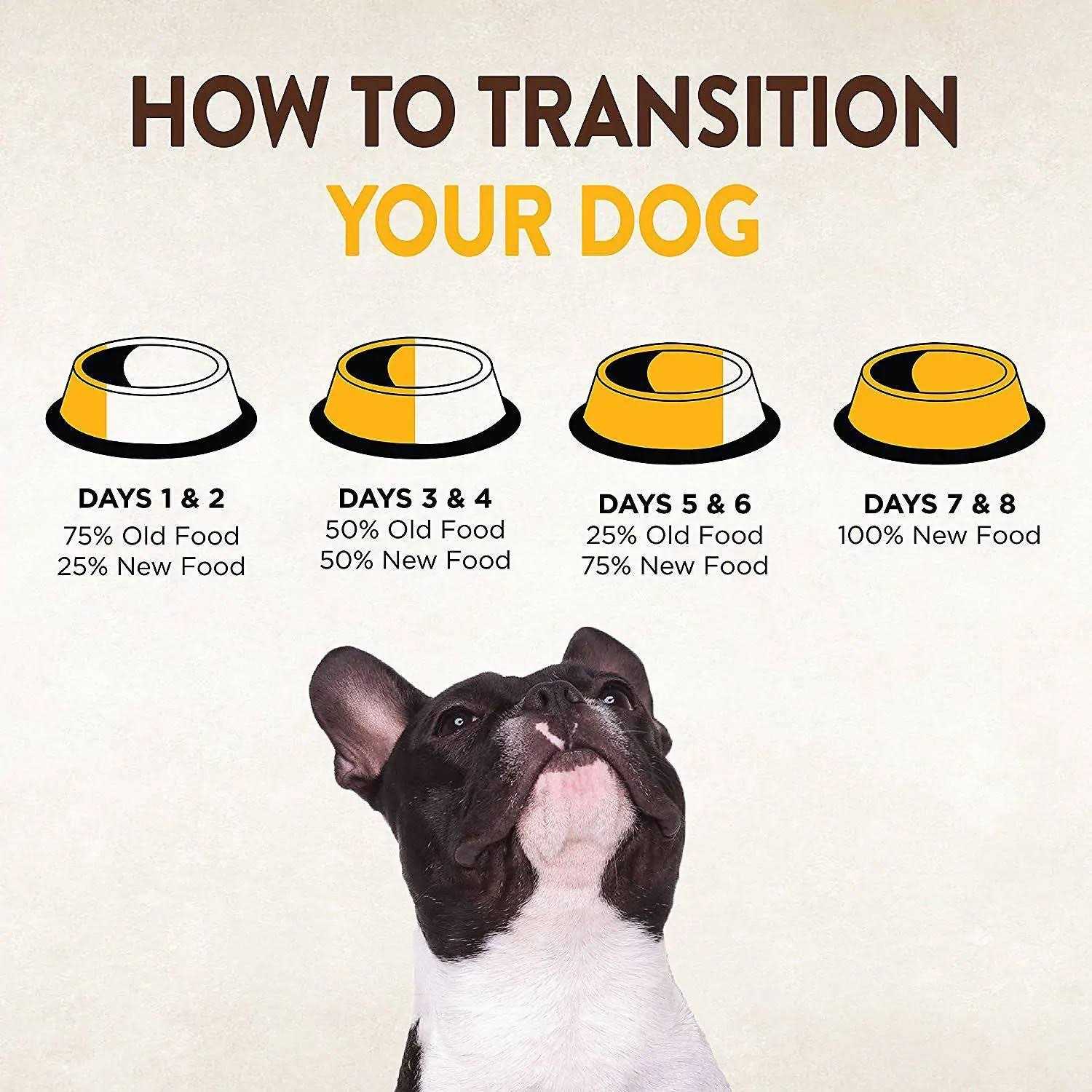 Wellness CORE Natural Grain Free Small Breed Dry Puppy Food