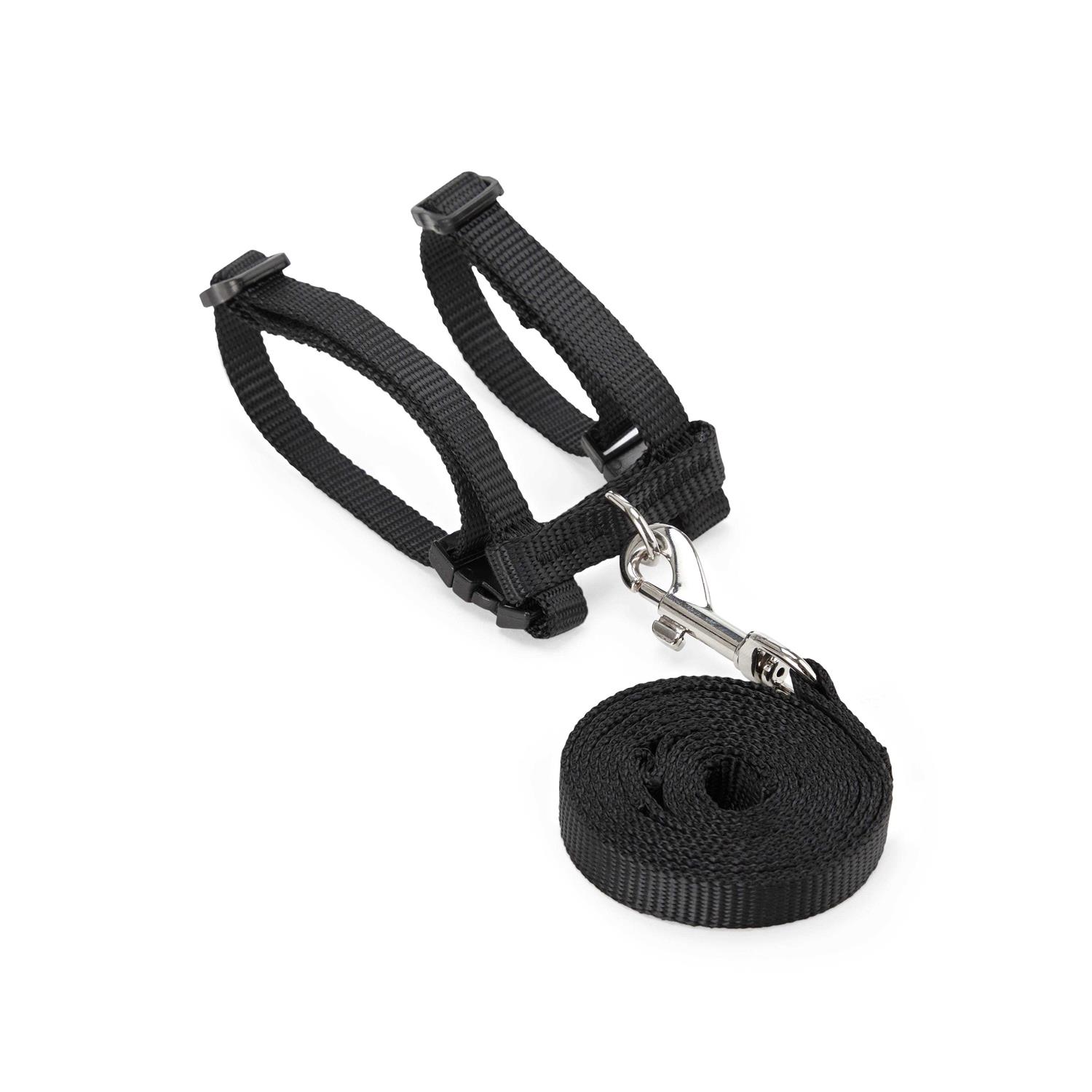 EveryYay Assorted Ferret Harness & Lead