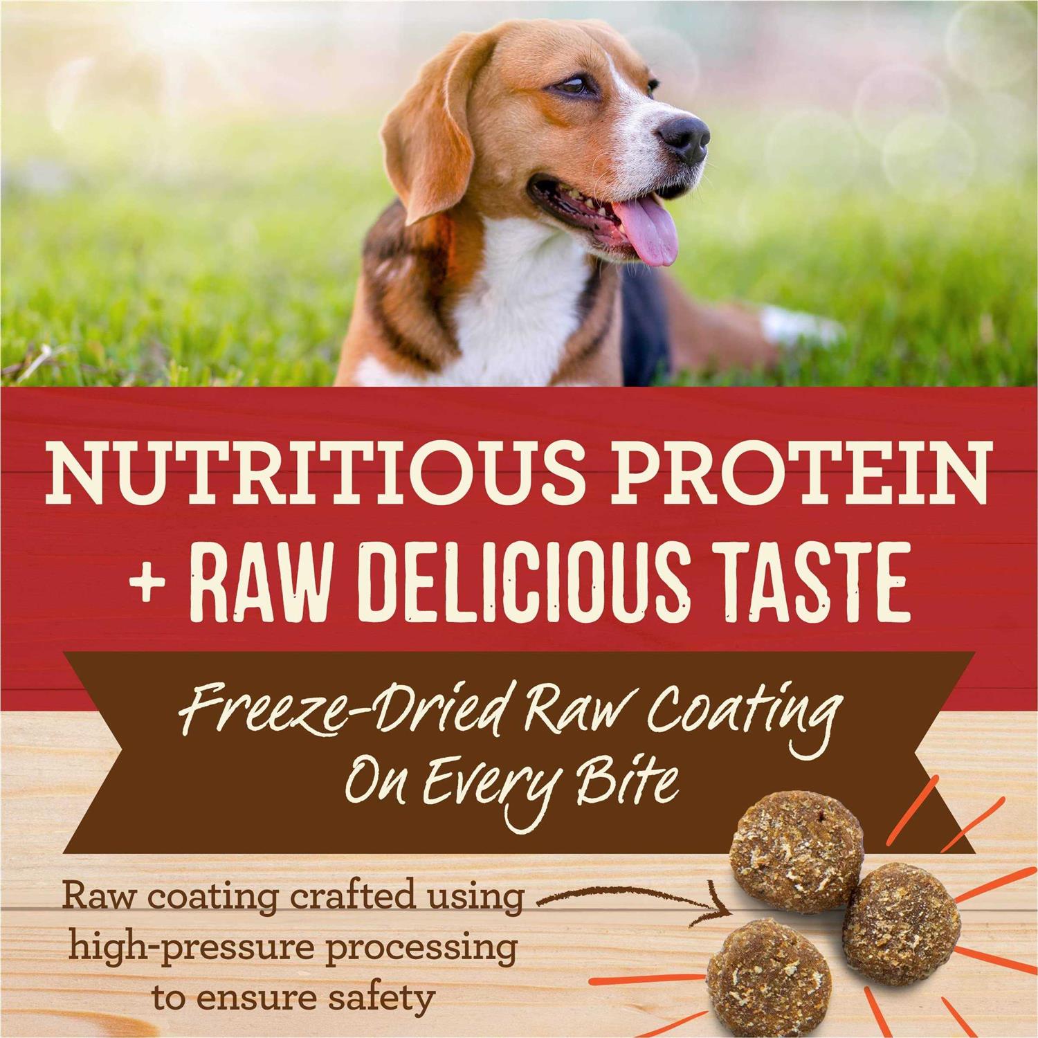 Merrick Healthy Grains Freeze Dried Raw Coated Kibble Dry Dog Food Real and Brown Rice Recipe