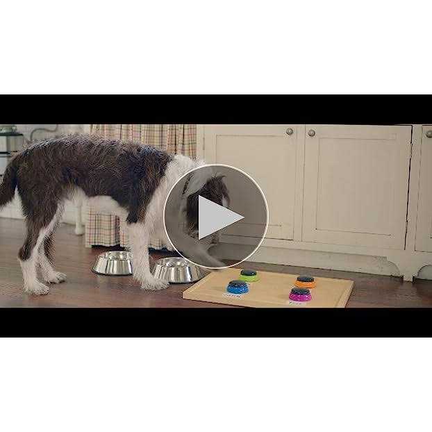 Rachael Ray Nutrish Dry Dog Food Real Chicken & Veggies Recipe