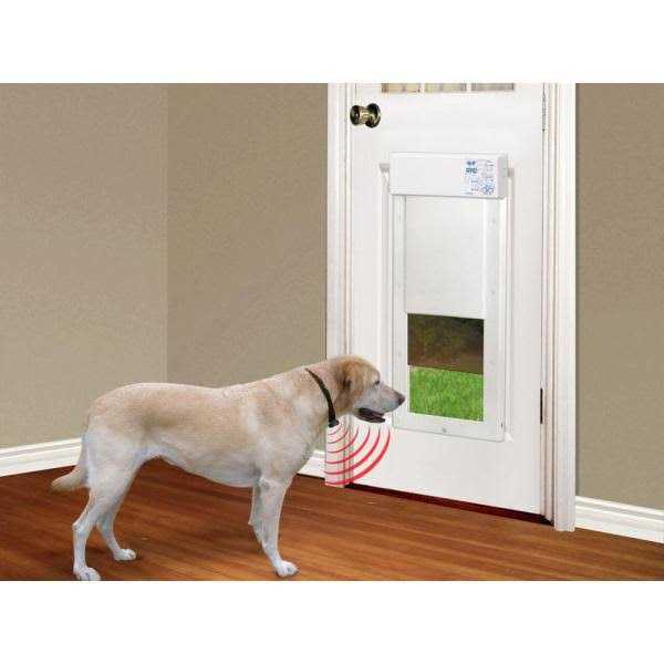 High Tech Pet Power Pet Motorized Door