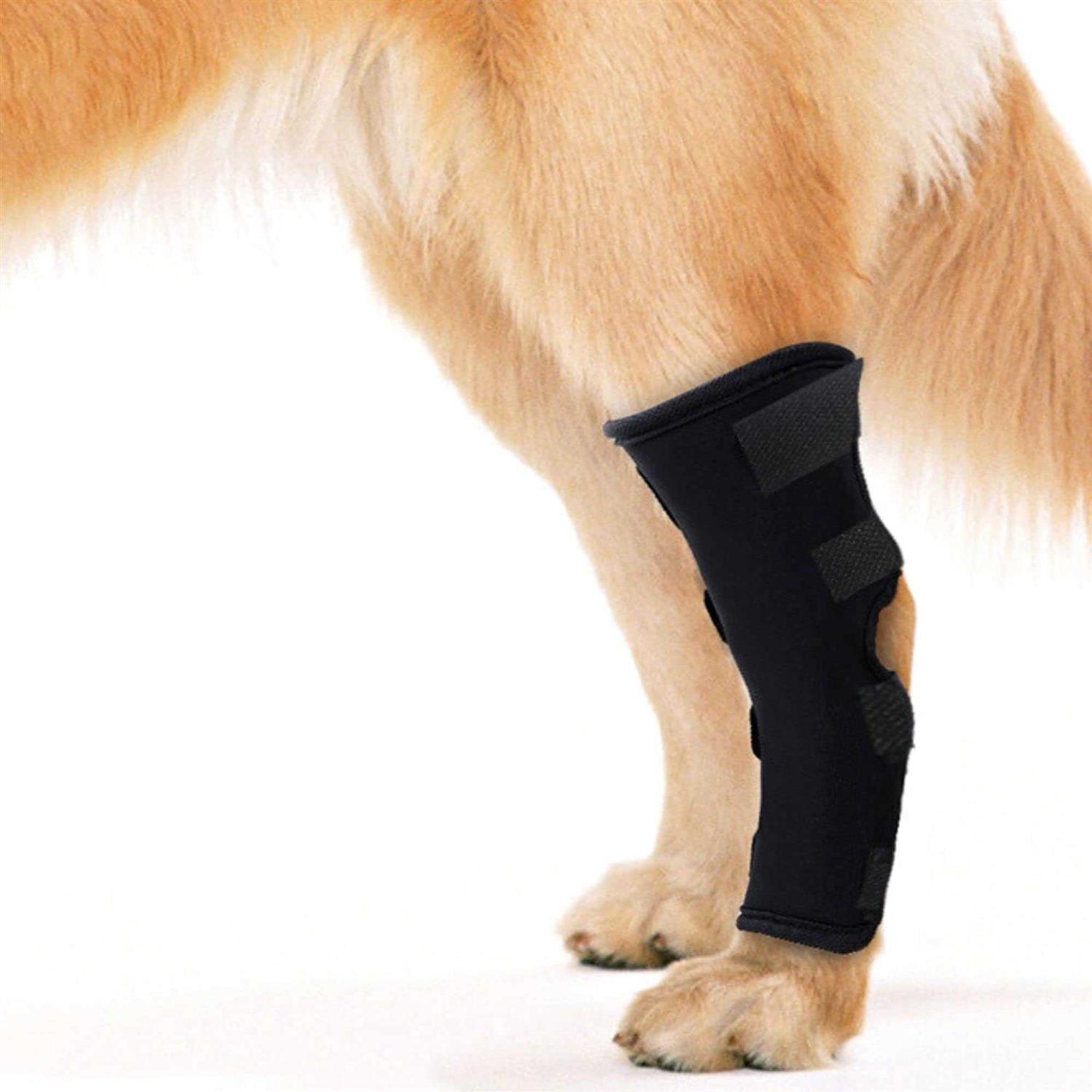 PETILUCK Waterproof Dog Leg Braces for Back Leg Canine Rear Leg Hock Joint Wrap Protects for Dogs with Torn Acl, Sprain Protection and Wound Healing