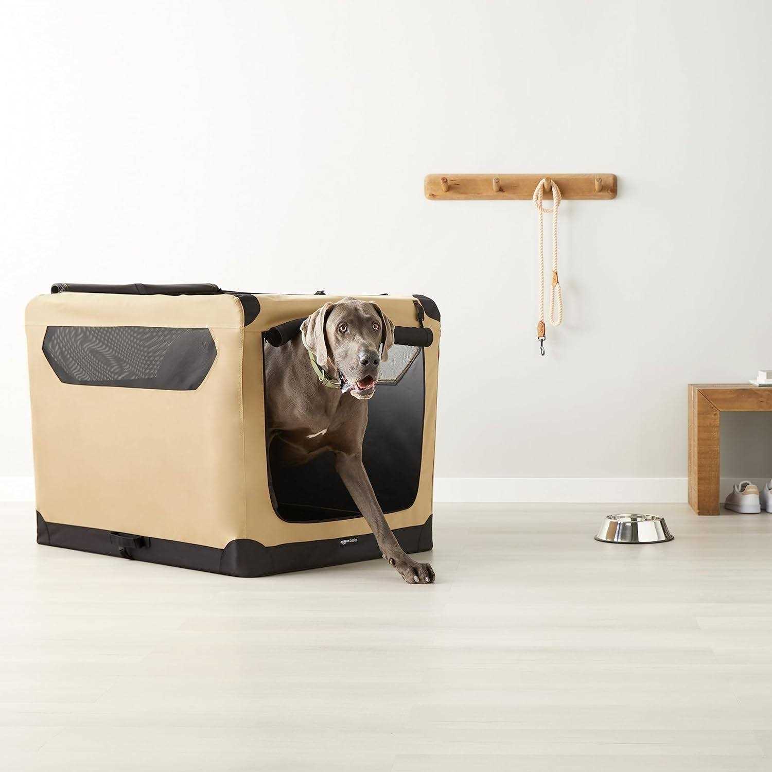 Amazon Basics 2-door Soft-sided Folding Travel Crate Dog Kennel
