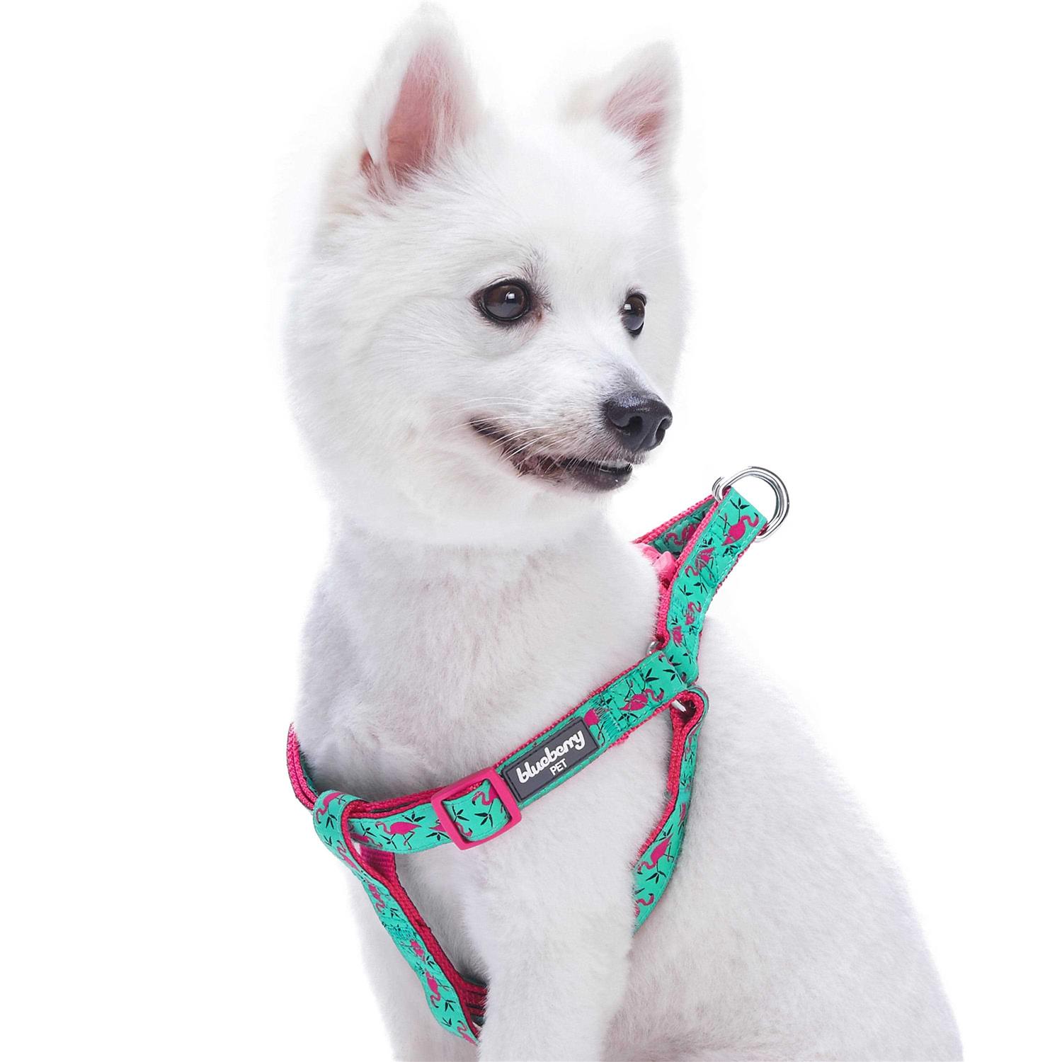 Blueberry Pet Step Dog Harness