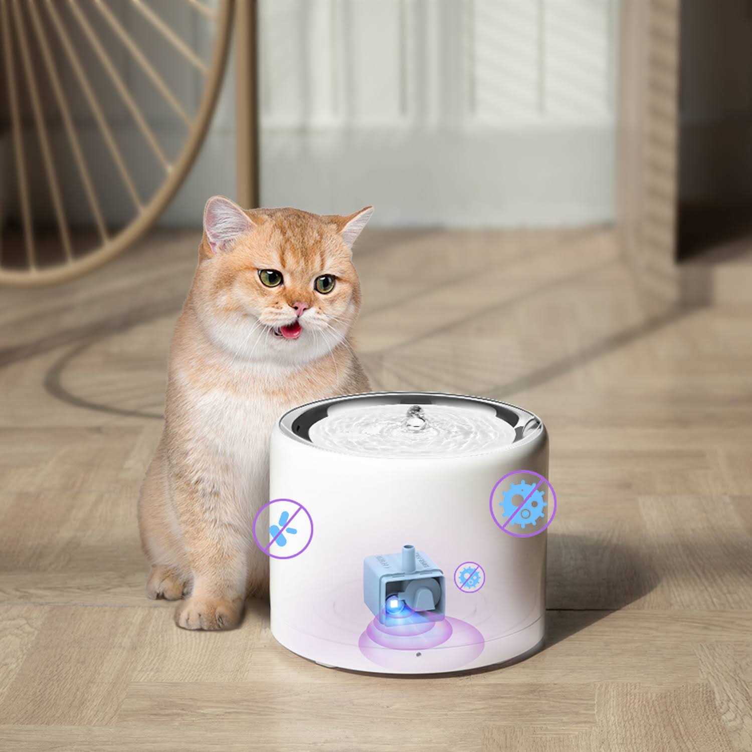 SUS304 & UVC Wireless Pump Eversweet 3 Pro