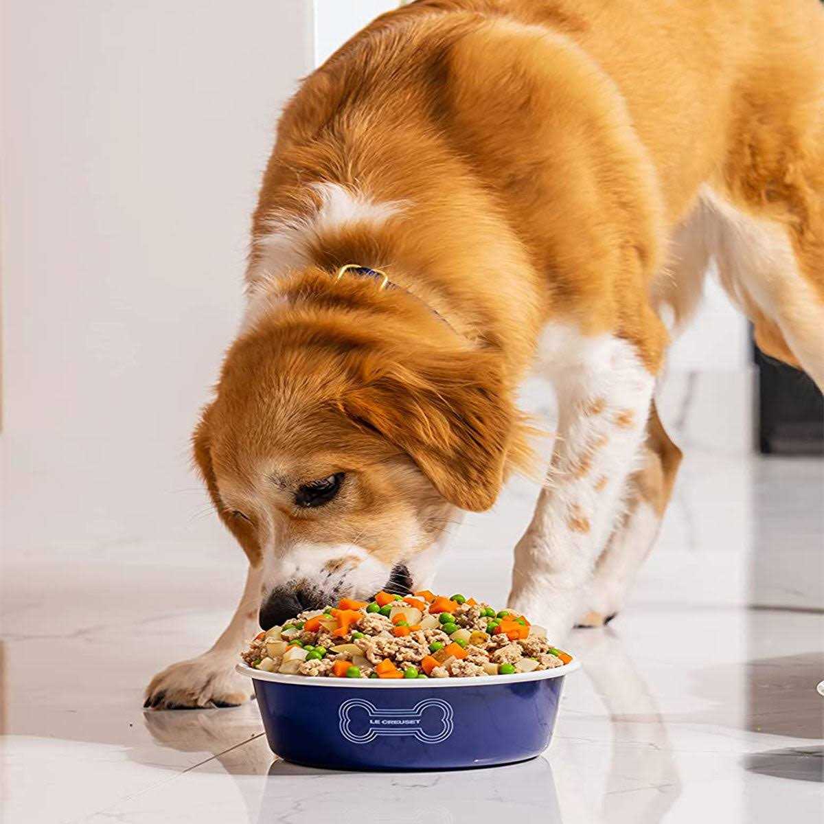 Le Creuset Dog Bowl