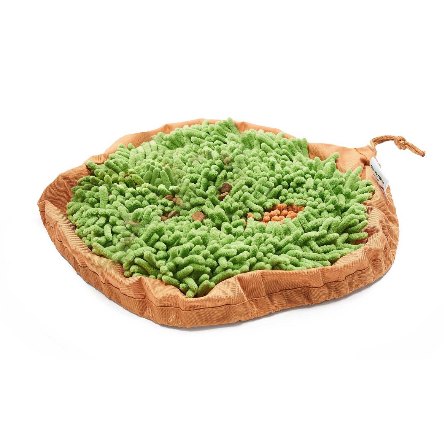 Pet Parents Forager Snuffle Mat & Slow Feeder Dog Bowl