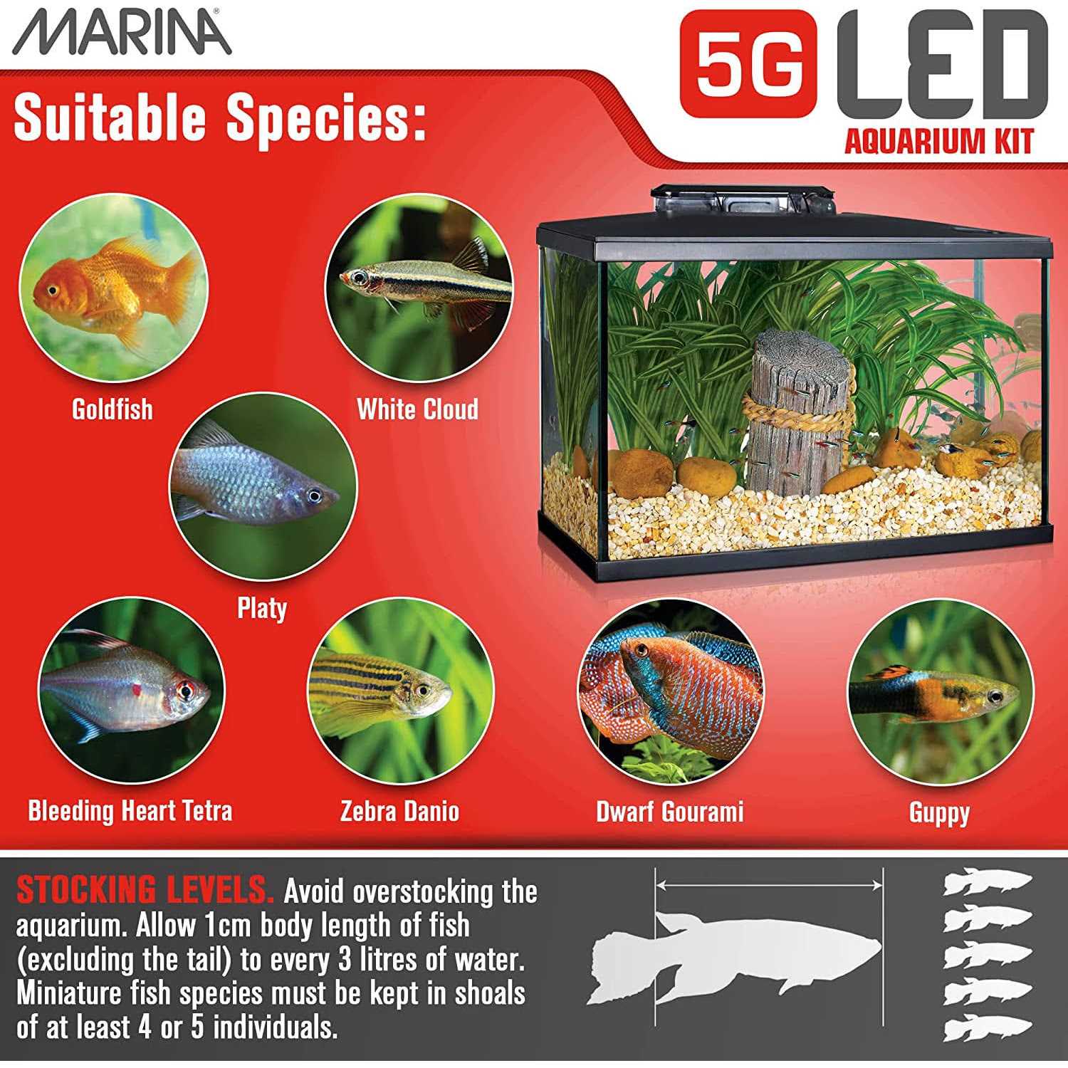 Marina 5G LED Glass Aquarium Kit