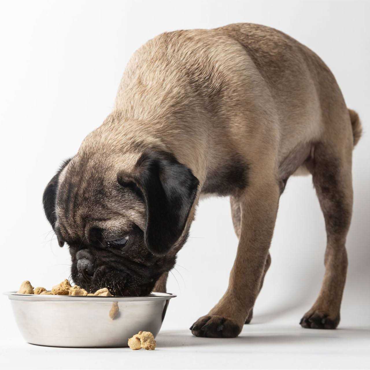 Dr Marty Nature’s Blend Sensitivity Select Freeze Dried Dog Food